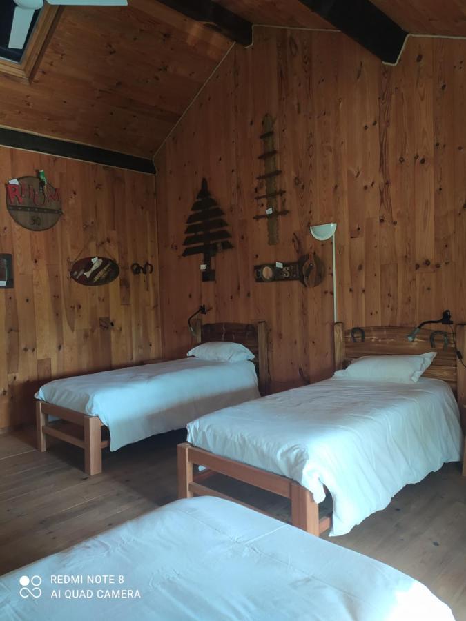 Le Saloon Hotel Chazey-sur-Ain Екстериор снимка